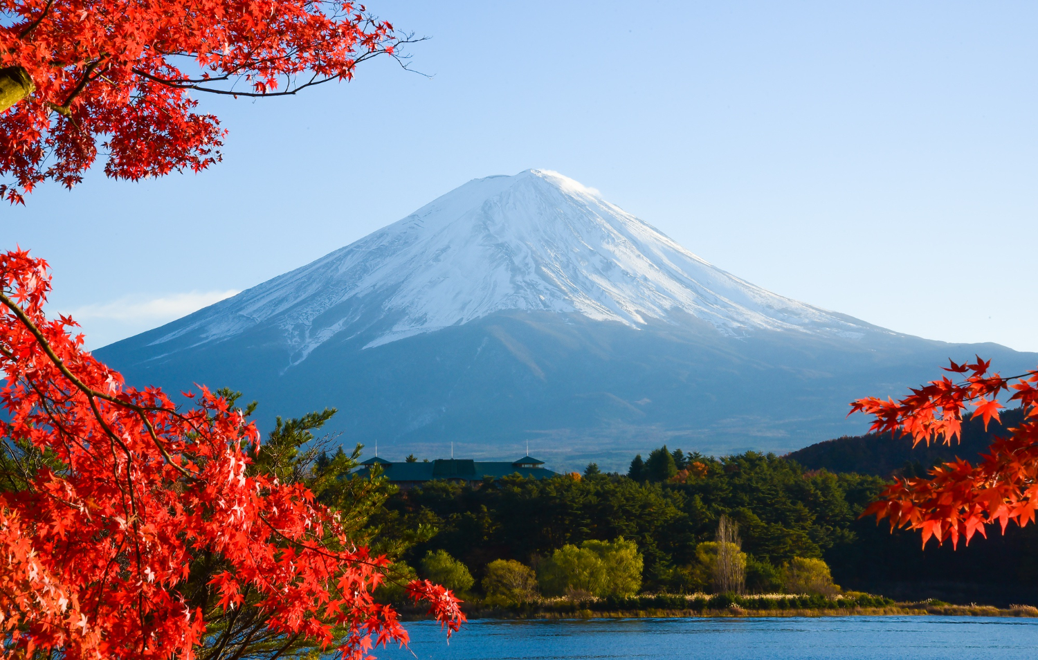 Puzzle Monte Fuji